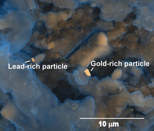Particelle di piombo e oro nei liquami (fonte: Heather Lowers, USGS Denver Microbeam Laboratory)