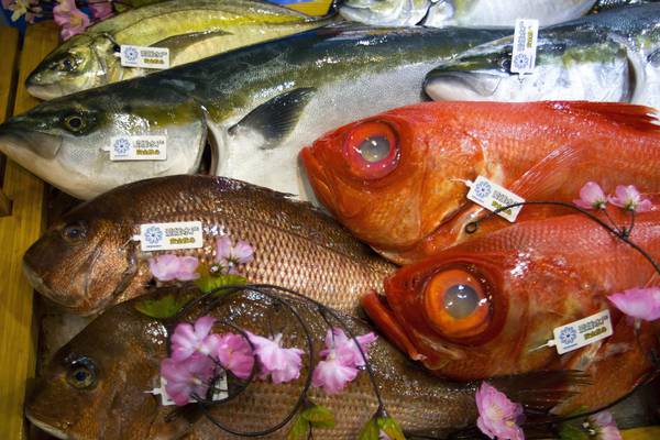 Pesca:Fai-Flai-UilaPesca,sottoscritto accordo Cig per 35 mln
