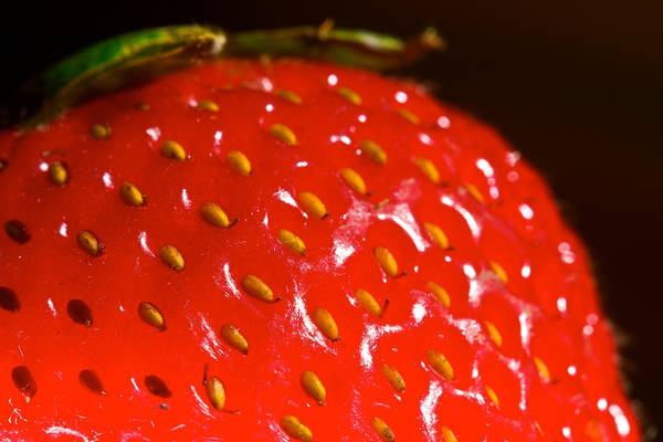 Dalla seta una pellicola trasparente che conserva la frutta più a lungo (fonte: David Lenker – Flickr)