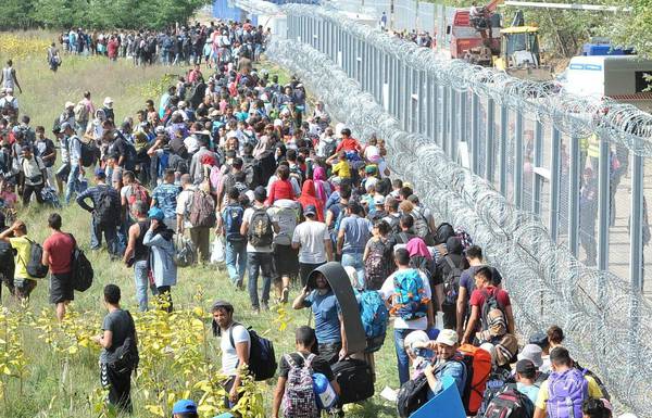 Migranti al confine ungherese