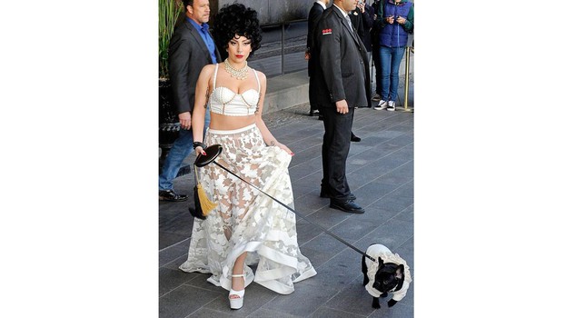 Mini Dog Club - Lady Gaga
