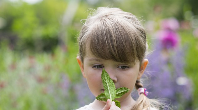 Una bambina odora una foglia di menta in un orto botanico foto LDProd iStock.