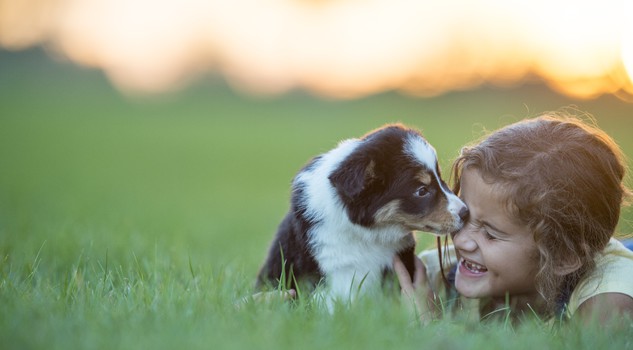Mini dog e bambini amore a prima vista. Foto FatCamera iStock.