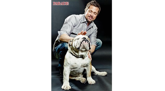bulldog mania Brad Pitt
