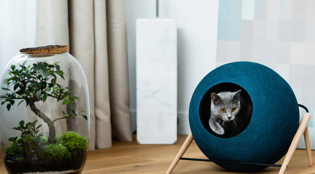 The Ball, mobili per 'gatti intelligenti' della francese Meyou