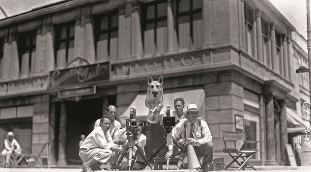 Flash, il cane della Metro-Goldwyn-Mayer, 1934_In prestito da John Kobal Foundation, London