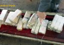 'Ndrangheta: traffico cocaina da Sudamerica, 19 arresti