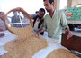 In Egitto accordo sul grano tra Coldiretti-Filiera Italia