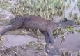 Strage di cavallini della Giara, NUOVO VIDEO © ANSA