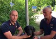 Sisma: l'unita' cinofila della Polizia presenta Leo, il cane che ha trovato Giorgia © ANSA