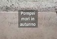 Pompei, eruzione a ottobre e non ad agosto © ANSA