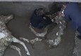 Eccezionale scoperta a Pompei: torna alla luce un cavallo bardato © ANSA