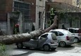 Cade albero su auto in centro Roma, 2 feriti gravi © ANSA