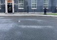 Brexit, il gatto di Downing Street ruba la scena ai negoziati catturando un piccione © ANSA
