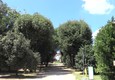 Stati generali, Villa Pamphilj resta aperta ai cittadini © ANSA