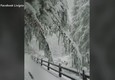 Prima neve a Livigno, alberi e strade imbiancate © ANSA