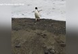 Pingu, il pinguino trovato a 3mila chilometri da casa © ANSA