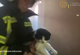 Odessa, i vigili del fuoco salvano gli animali intrappolati nelle case © ANSA