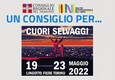 Eventi Arena Piemonte - Consiglio Regionale - Salone Libro  2022 (ANSA)