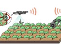 Agricoltura: arriva quella di precisione, con droni e robot (ANSA)