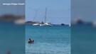 Sardegna, due delfini nuotano a pochi metri dalla riva(ANSA)