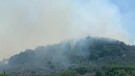 Incendio boschivo in Versilia, alcune case evacuate per precauzione(ANSA)