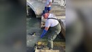 Venezia, gondolieri sub ripescano 300 chili di rifiuti dai canali(ANSA)