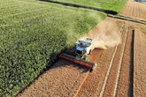 Agricoltori Ue, sì a crediti CO2 per ridurre emissioni (ANSA)