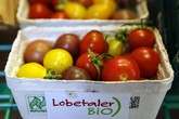 La Francia supera l'Italia per coltivazioni 'bio' (ANSA)