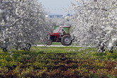 BANDO Emilia-Romagna: 12,6 milioni di euro per aziende agricole (ANSA)