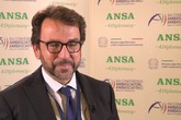 Ambasciatore Lucentini: 'Il fatturato annuo delle aziende italiane in Argentina ammonta a 11 miliardi di euro'