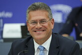Šefčovič davanti agli eurodeputati: 'Serve accelerare l'attuazione del Green Deal' (ANSA)