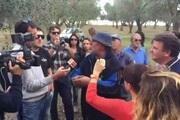 Xylella: ruspe a Torchiarolo, protestano agricoltori