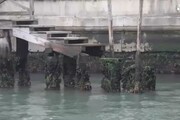 Ora Venezia soffre di bassa marea