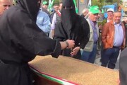 In 500 celebrano 'funerale' del grano