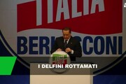 I delfini rottamati da Berlusconi