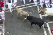 Pamplona, quattro feriti alla prima corsa con i tori