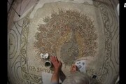Risplende mosaico del pavone, il restauro in timelapse