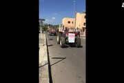 Xylella: olivicoltori protestano con trattori a Lecce