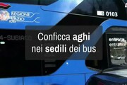 Conficca aghi sui sedili degli autobus