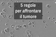 5 regole per affrontare il tumore