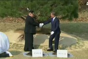 Kim e Moon piantano un albero simbolo di pace