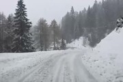 Eccezionale nevicata in Alto Adige: 13 mila utenze senza corrente