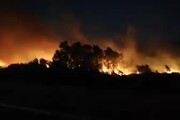 Paura in Sardegna, grosso incendio nel Nuorese