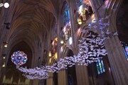 Washington, migliaia di colombe nella cattedrale: simbolo di speranza per il 2021