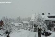 Abbondante nevicata a Cortina: disagi in tutto il bellunese