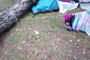 Marina di Massa, un albero cade su una tenda: morte due sorelline