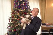Natale, gli auguri speciali di Silvio Berlusconi