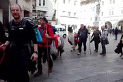 Con i lama da Bolzano a San Pietro per vedere il Papa