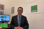 Discorso di Draghi al Senato, l'analisi del direttore dell'ANSA